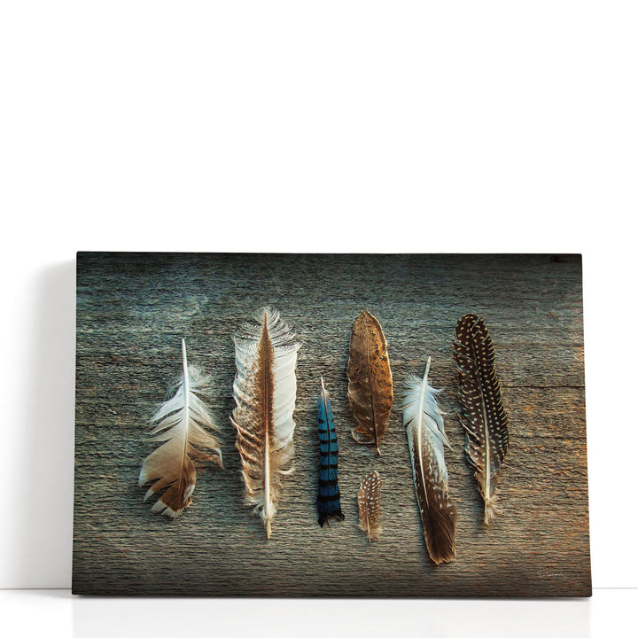 Feather Collection I - Canvas Print Wall Art