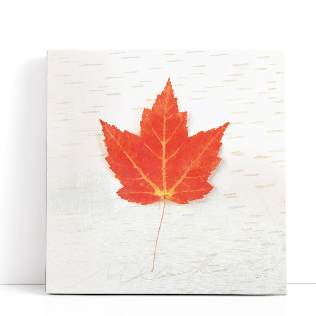 Autumn Colors I - Canvas Print Wall Art