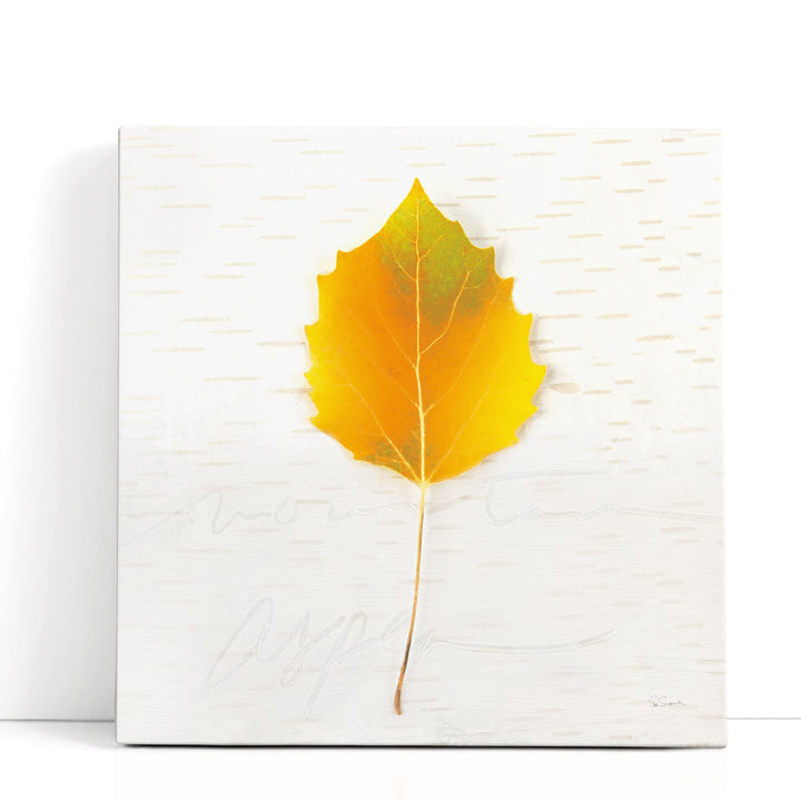 Autumn Colors III - Canvas Print Wall Art