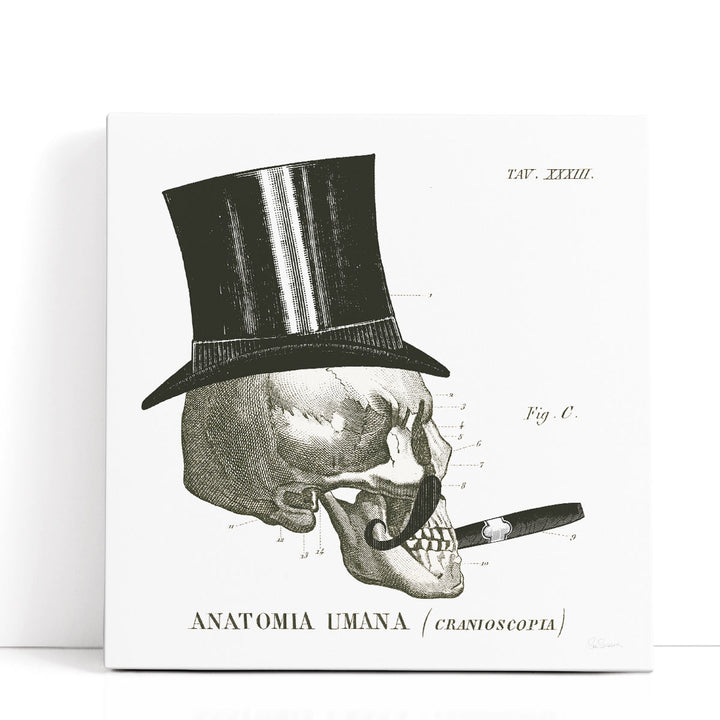 Dandy Bones III Black and White - Canvas Print Wall Art