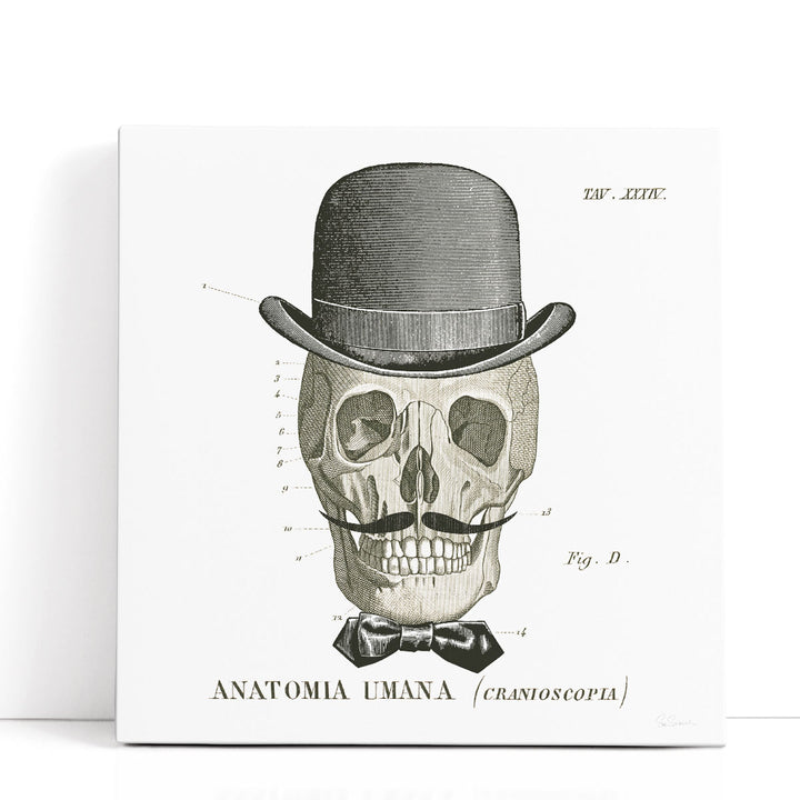 Dandy Bones IV Black and White - Canvas Print Wall Art