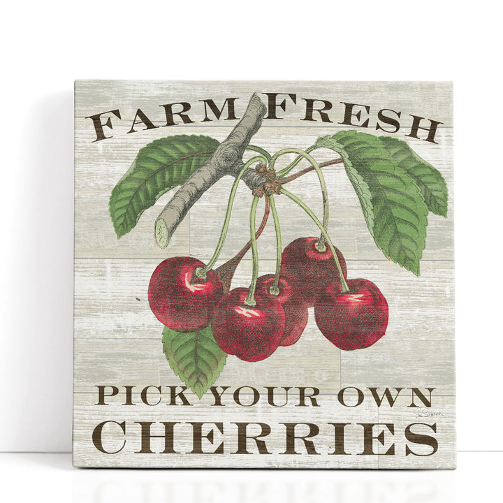 Farm Fresh Cherries - Canvas Print Wall Art