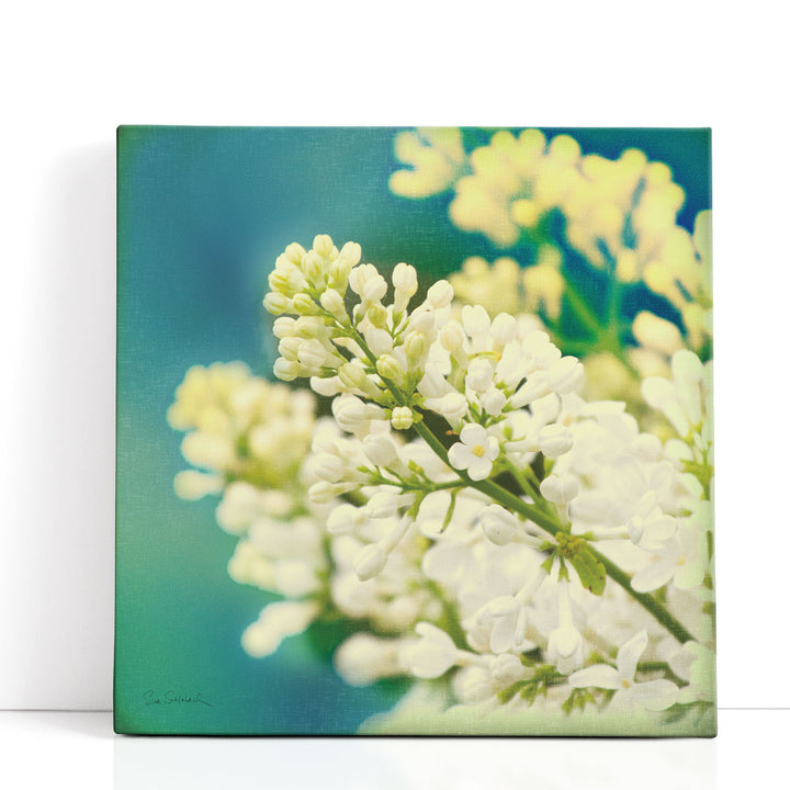 Natures Lilac Blossom - Canvas Print Wall Art