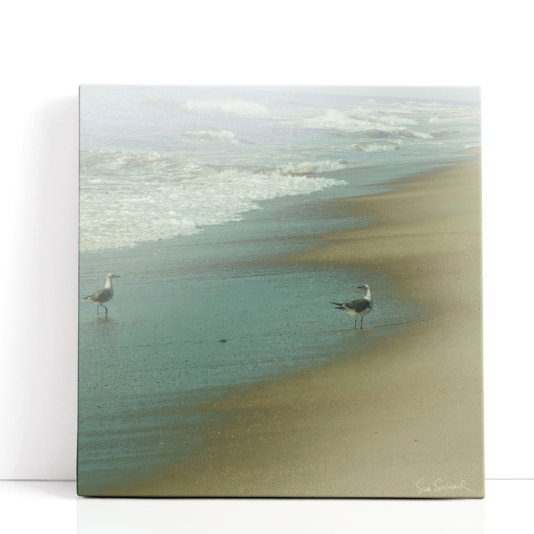 Seabirds - Canvas Print Wall Art