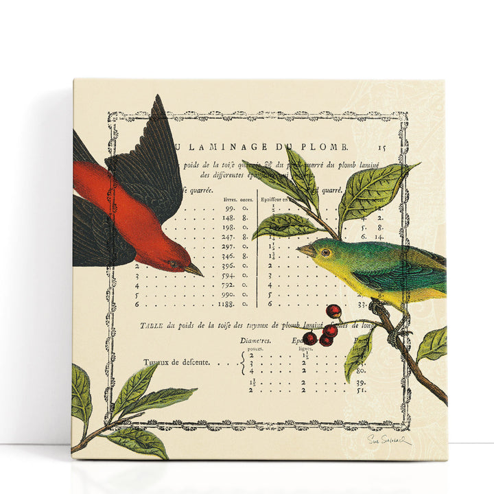 Summer Pages I - Canvas Print Wall Art