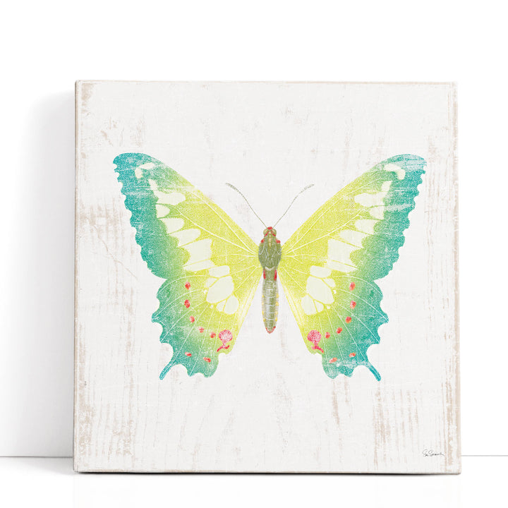 White Barn Butterflies III - Canvas Print Wall Art