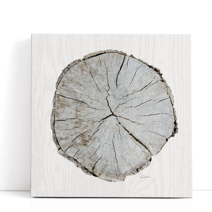 Woodland Years I - Canvas Print Wall Art