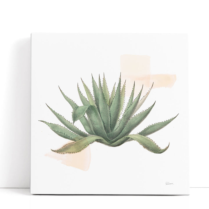 Desert Color Succulent I - Canvas Print Wall Art