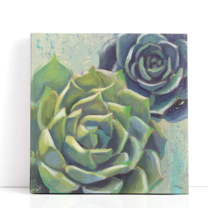 Succulents I - Canvas Print Wall Art