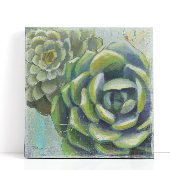 Succulents II - Canvas Print Wall Art