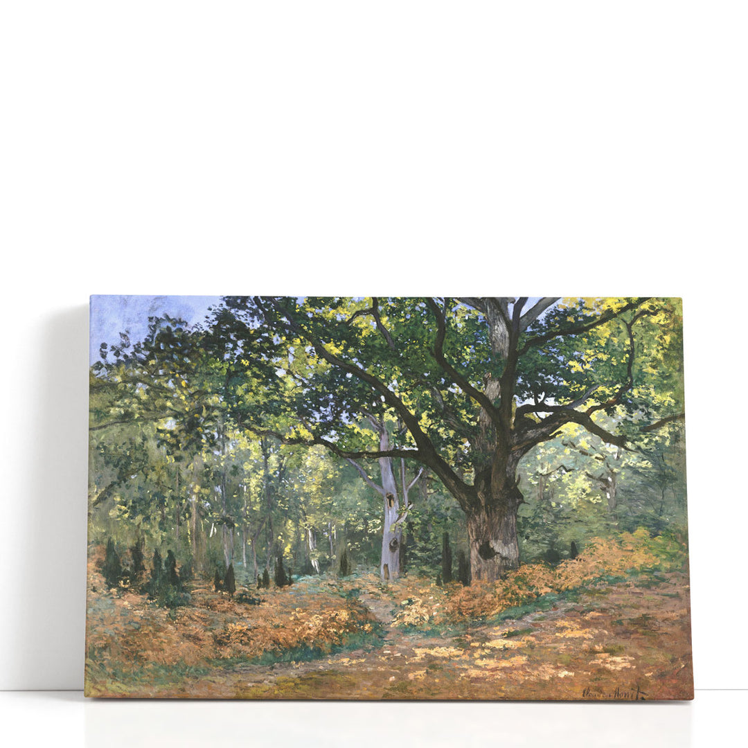 The Bodmer Oak, Fontainebleau Forest, 1865 - Canvas Print Wall Art