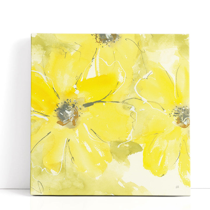 Sunshine Cosmos II - Canvas Print Wall Art