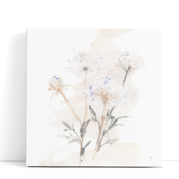 Queen Annes Lace II - Canvas Print Wall Art