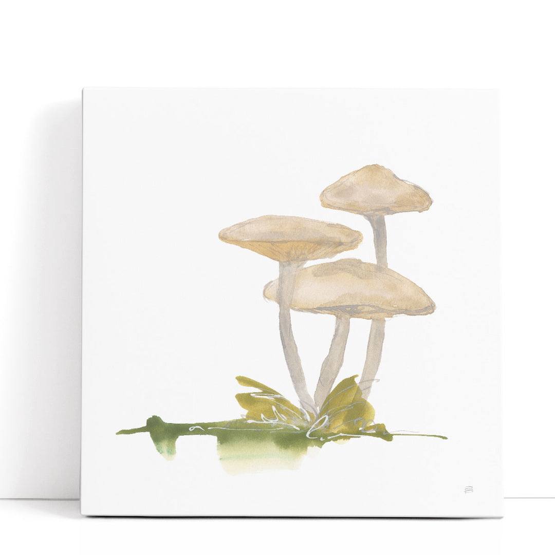 Mellow Mushrooms I - Canvas Print Wall Art