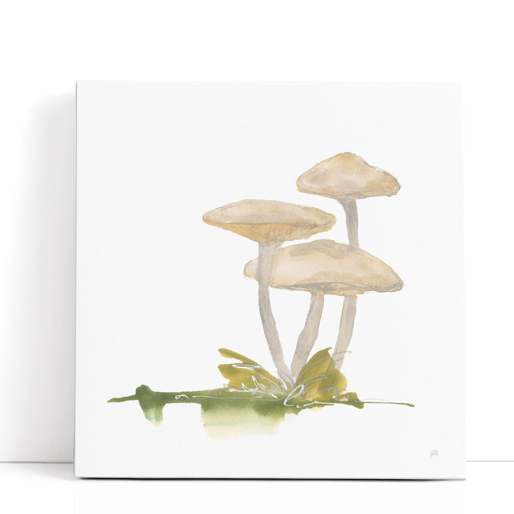 Mellow Mushrooms I - Canvas Print Wall Art