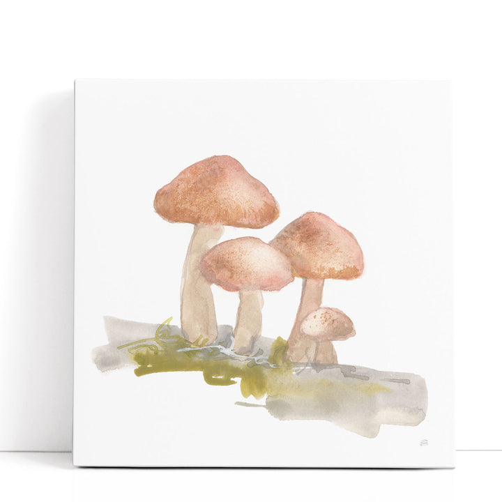 Mellow Mushrooms II - Canvas Print Wall Art