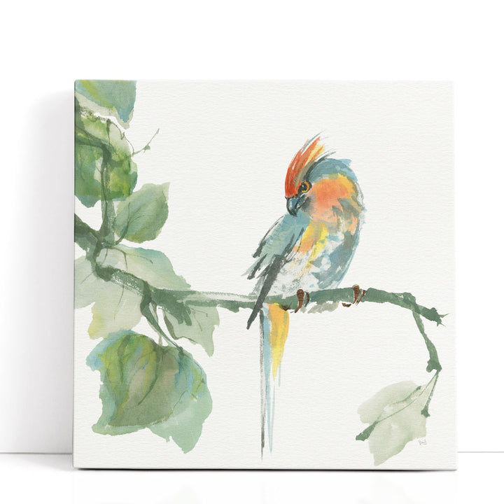 Crested Cockatoo - Canvas Print Wall Art