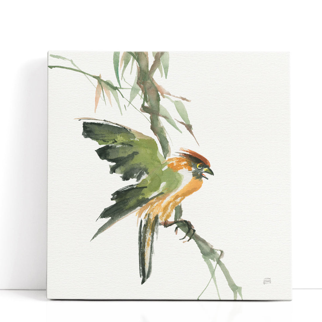 Formosan Firecrest - Canvas Print Wall Art