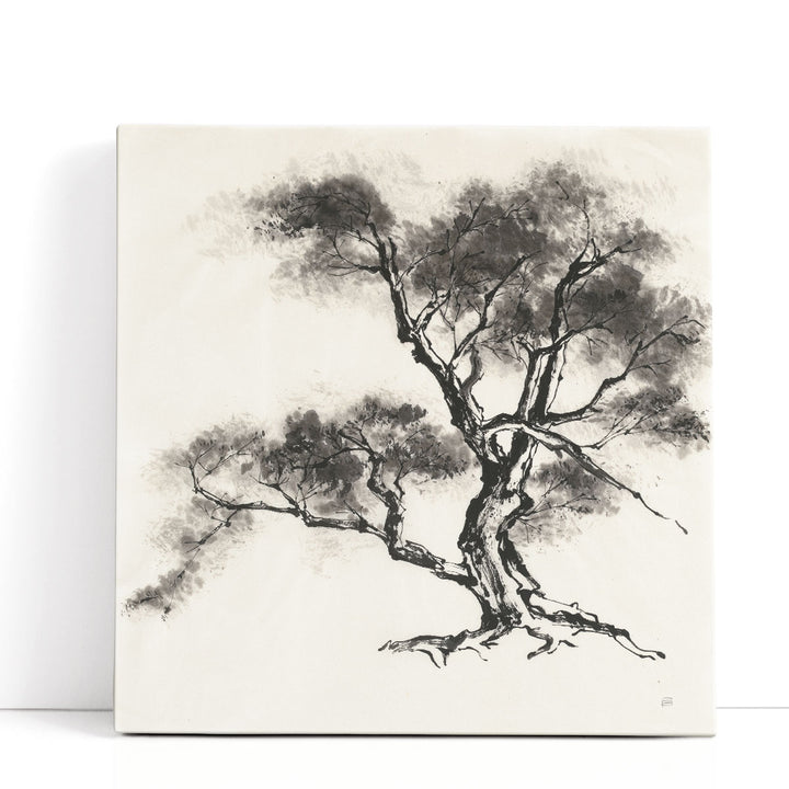 Sumi Tree II - Canvas Print Wall Art