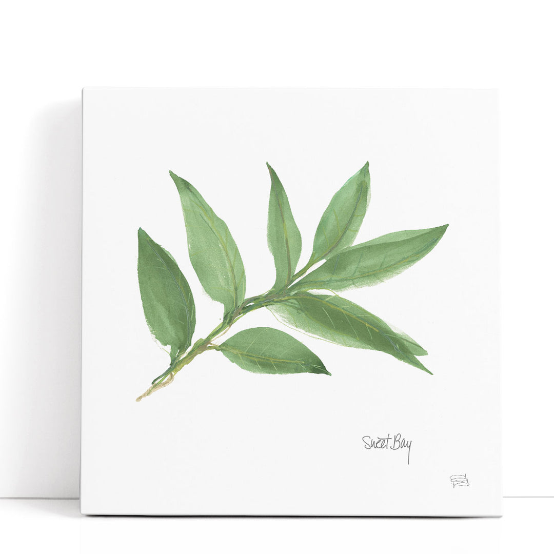 Sweet Bay - Canvas Print Wall Art