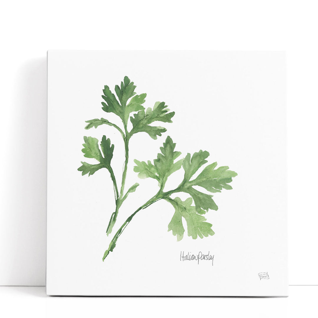 Italian Parsley - Canvas Print Wall Art