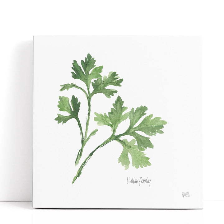 Italian Parsley - Canvas Print Wall Art