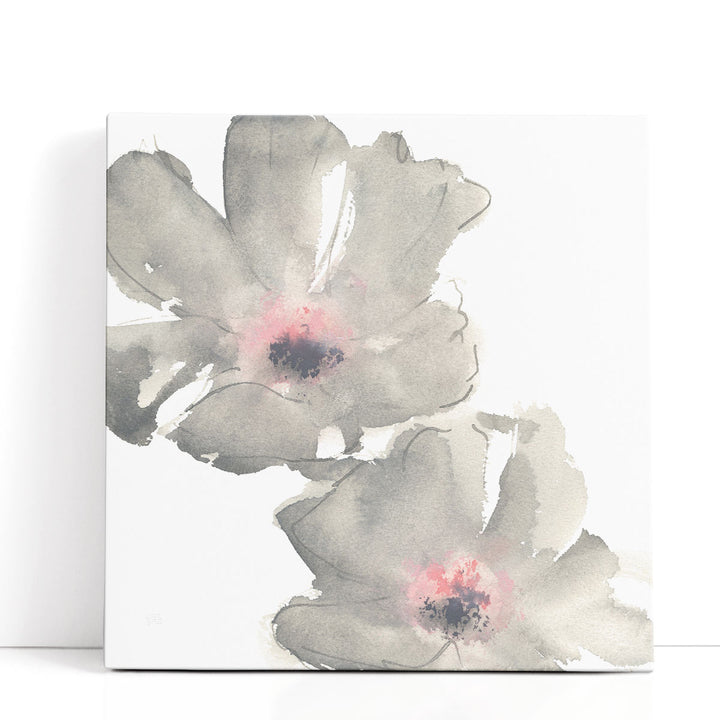 Gray Blush Cosmos I on White - Canvas Print Wall Art