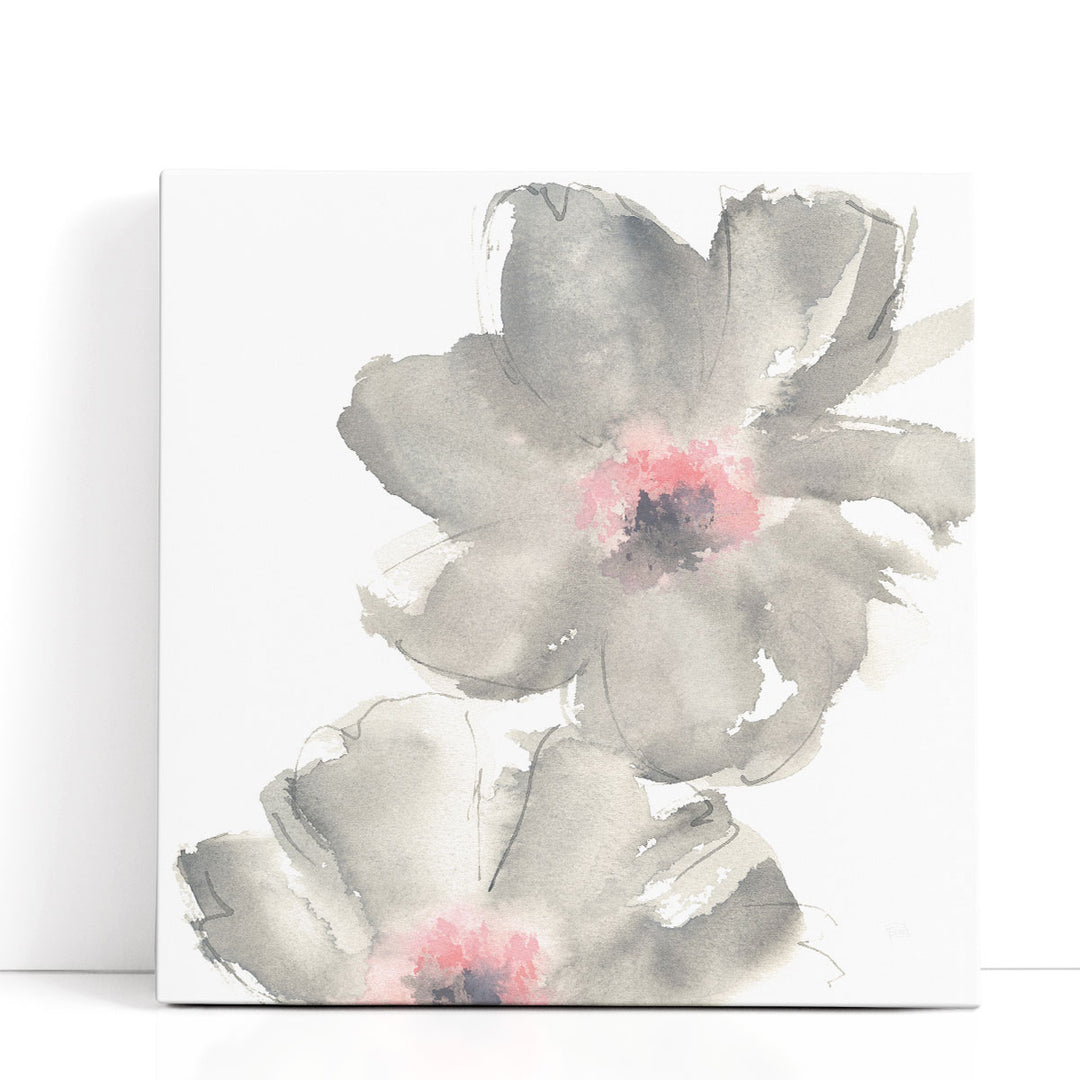 Gray Blush Cosmos II on White - Canvas Print Wall Art