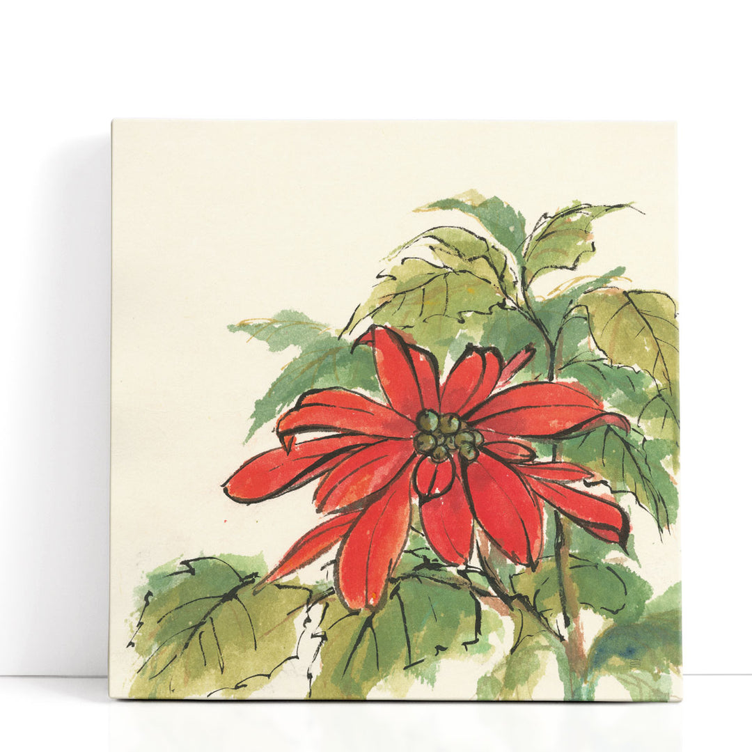 Poinsettia I - Canvas Print Wall Art