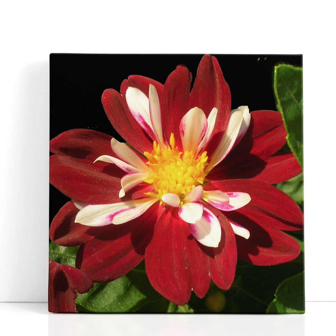Summer Evening III - Canvas Print Wall Art