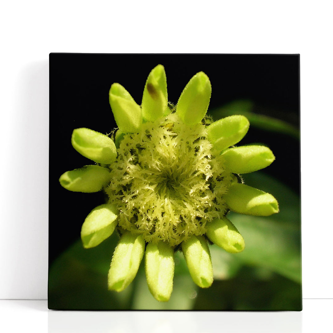 Summer Evening IV - Canvas Print Wall Art