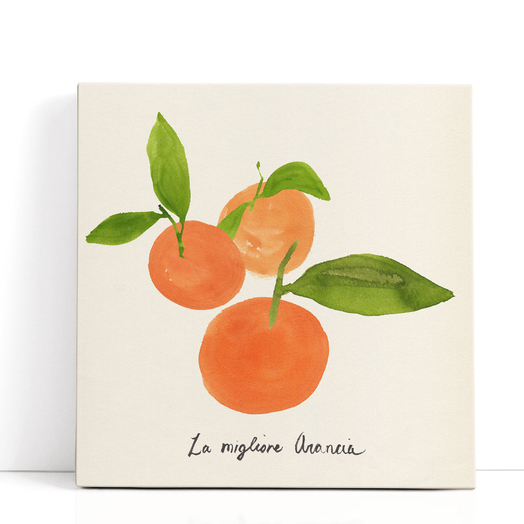 Citrus Fruit Wall Art vibrant orange watercolor