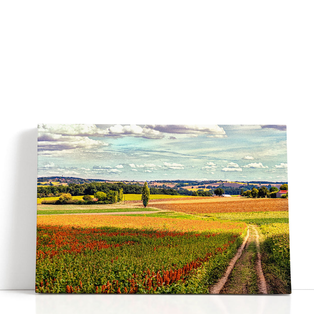 Back Road From Francescas - Canvas Print Wall Art