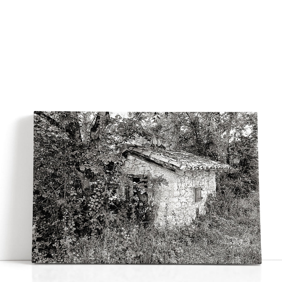 Back To Nature Black And White - Canvas Print Wall Art