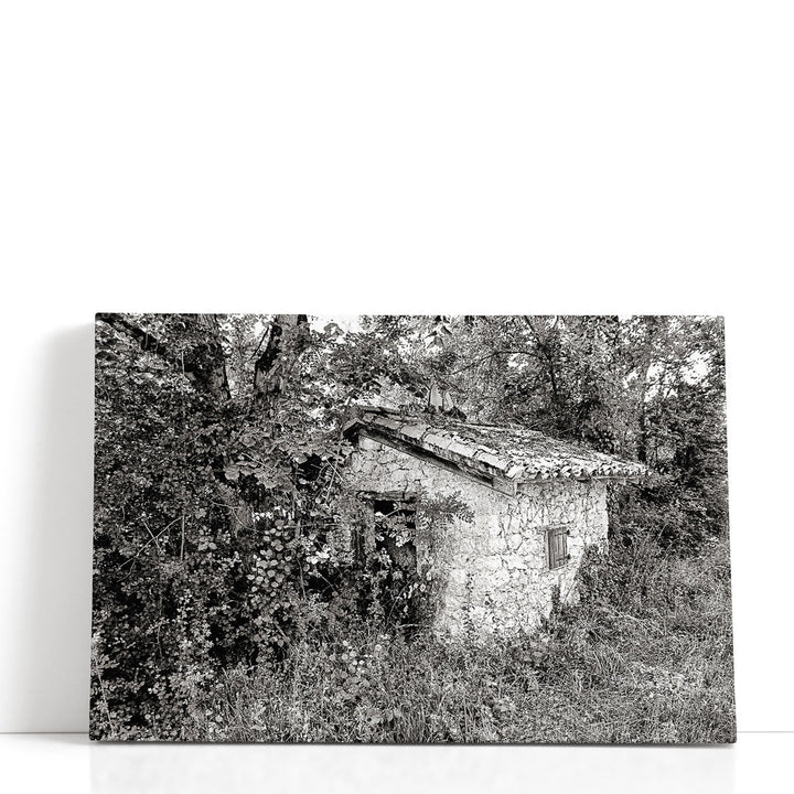 Back To Nature Black And White - Canvas Print Wall Art