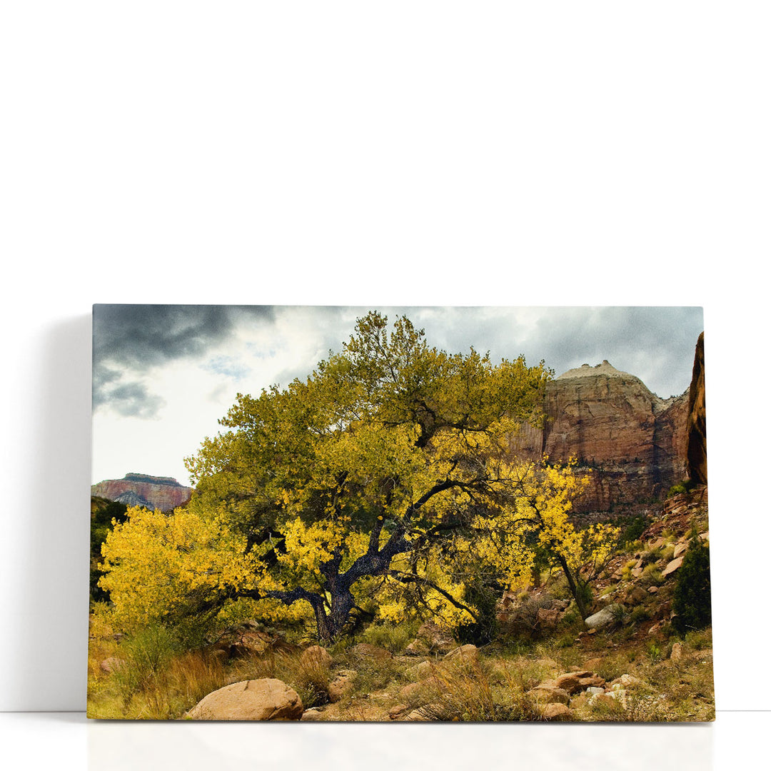 Brilliant View III - Canvas Print Wall Art