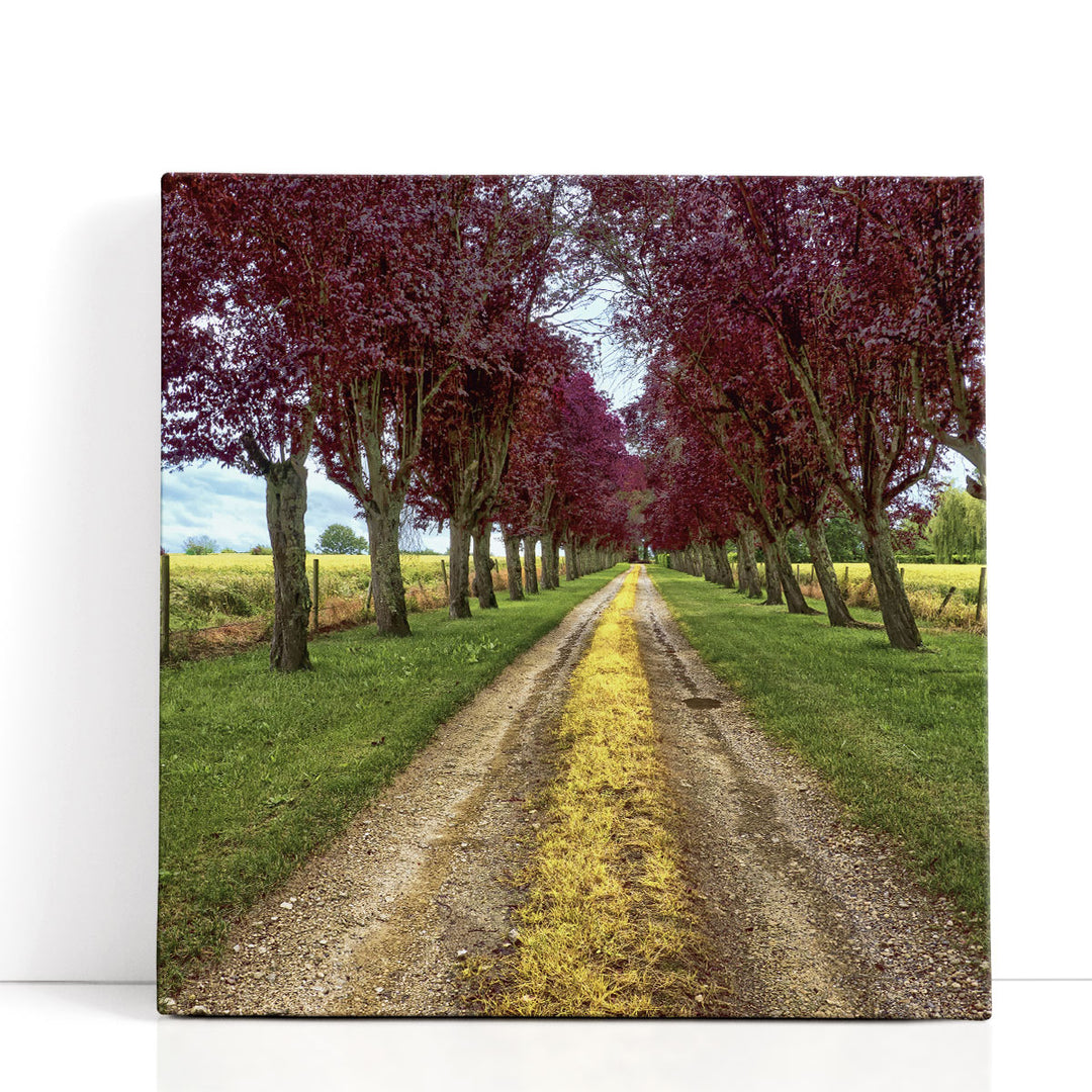 Approach - Canvas Print Wall Art