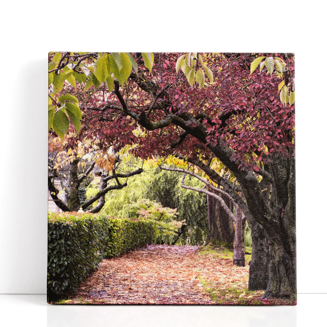 Arch Of Trees - Canvas Print Wall Art