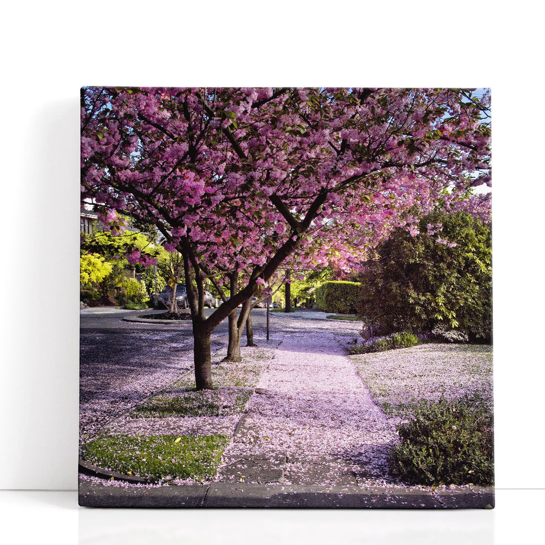 Fallen Petals - Canvas Print Wall Art