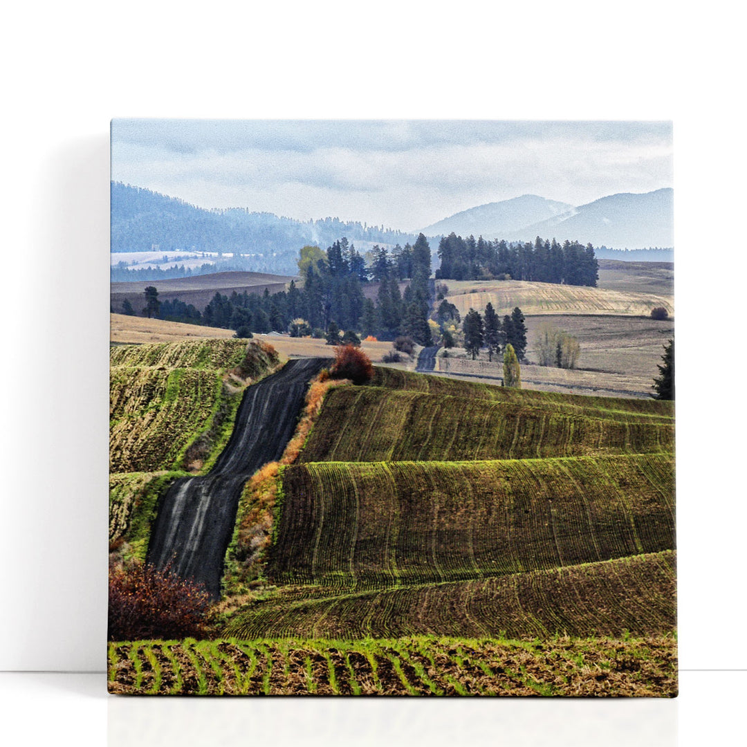 Palouse Hills - Canvas Print Wall Art