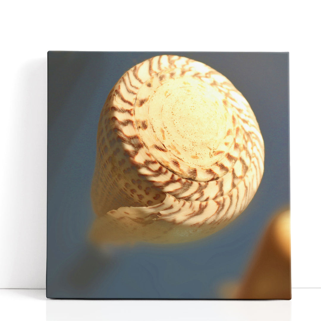 Underwater World 38 - Canvas Print Wall Art