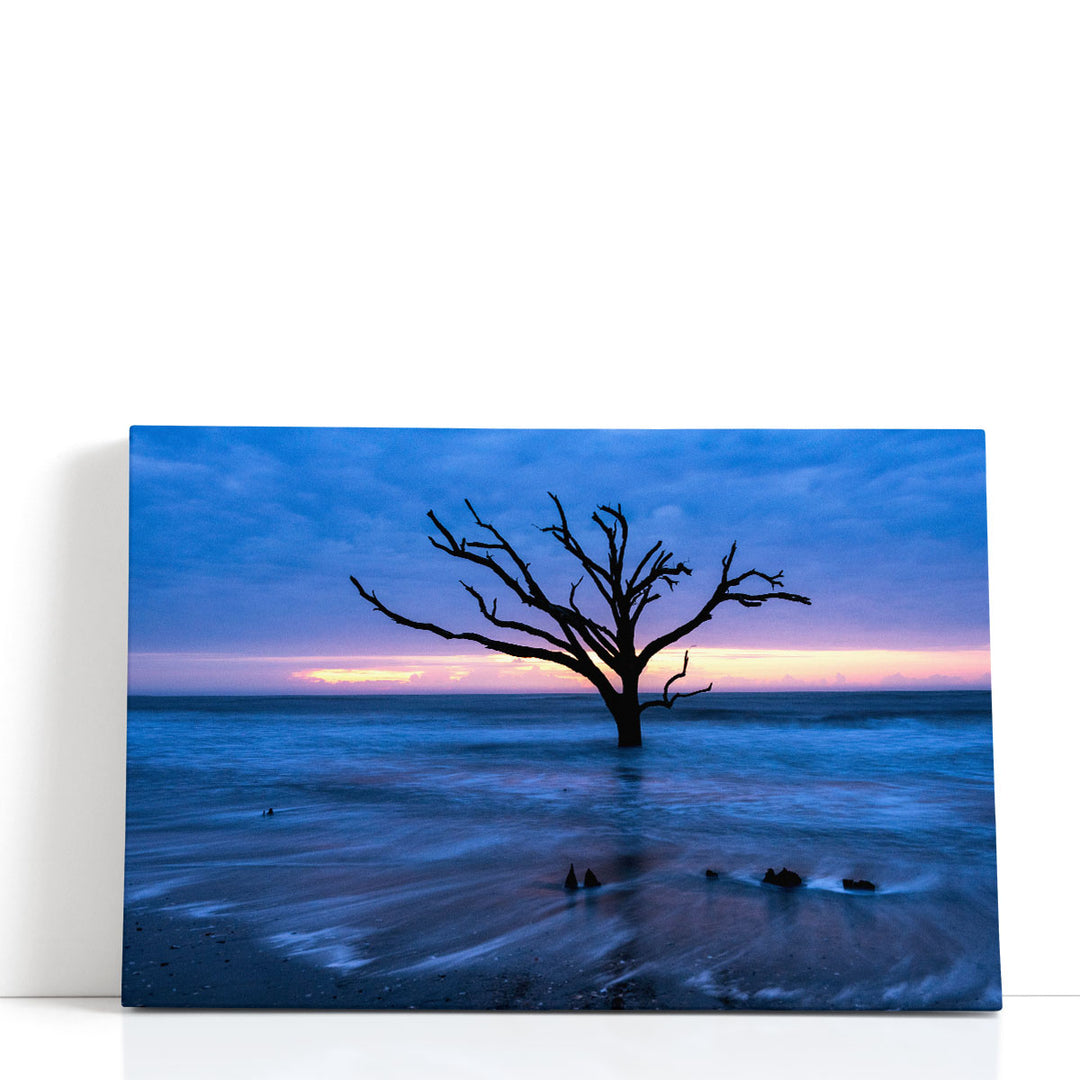 All that Remains - Canvas Print Wall Art