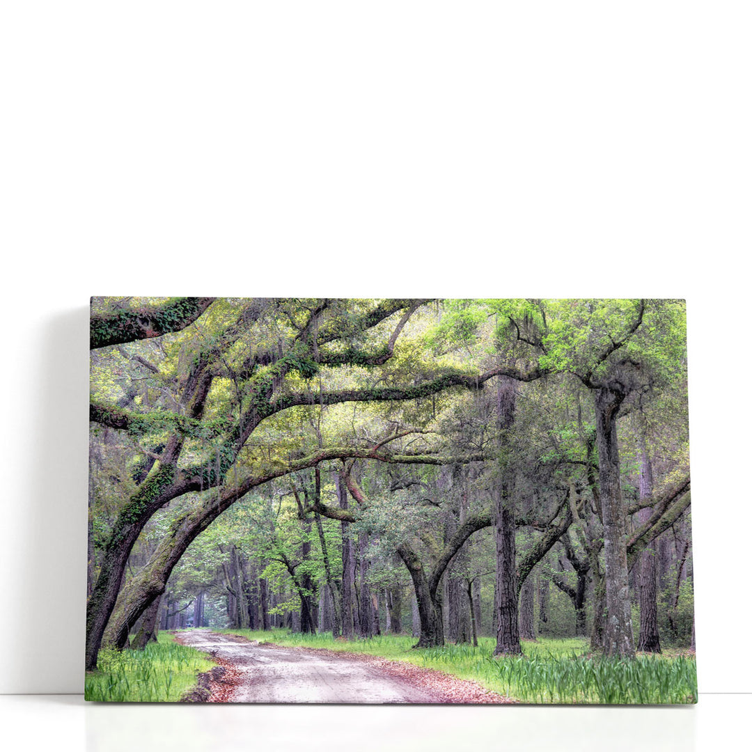Dirt Road I - Canvas Print Wall Art