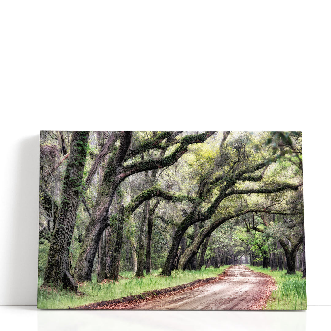 Dirt Road II - Canvas Print Wall Art