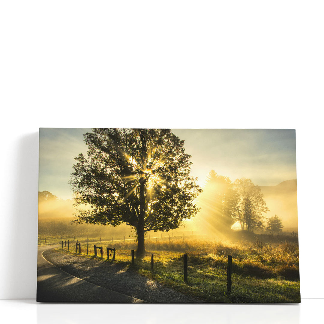 Wake Up Call - Canvas Print Wall Art