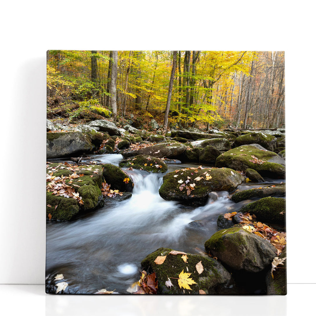 Autumn Rush - Canvas Print Wall Art