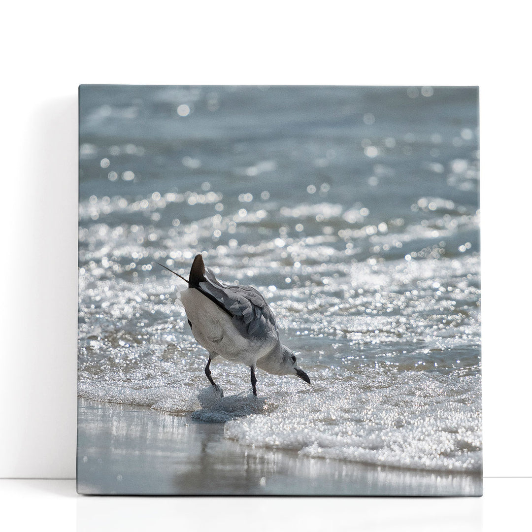 Bottoms Up - Canvas Print Wall Art