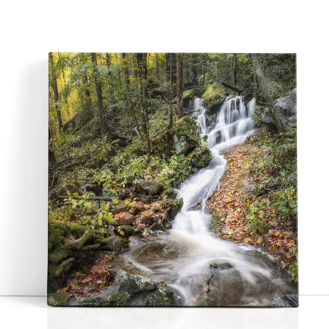 Roadside Falls - Canvas Print Wall Art