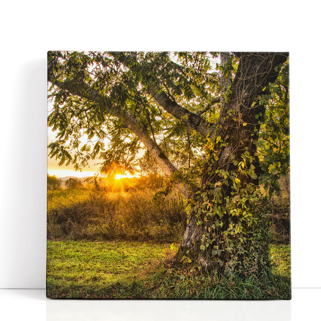 Calling It a Day - Canvas Print Wall Art