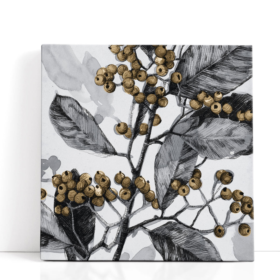 Holly Shadow I - Canvas Print Wall Art